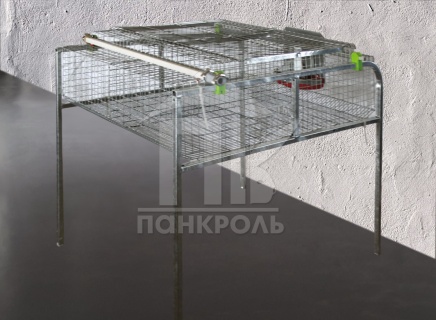 На фото изображен Клетка откормочная - 2 секции КОП-1/2С