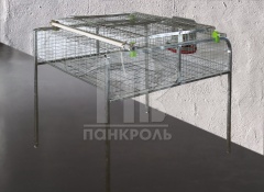 На фото изображен Клетка откормочная - 2 секции КОП-1/2С